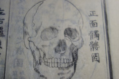 HO_1_8