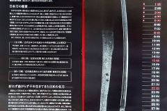 Sokendo2022_1w